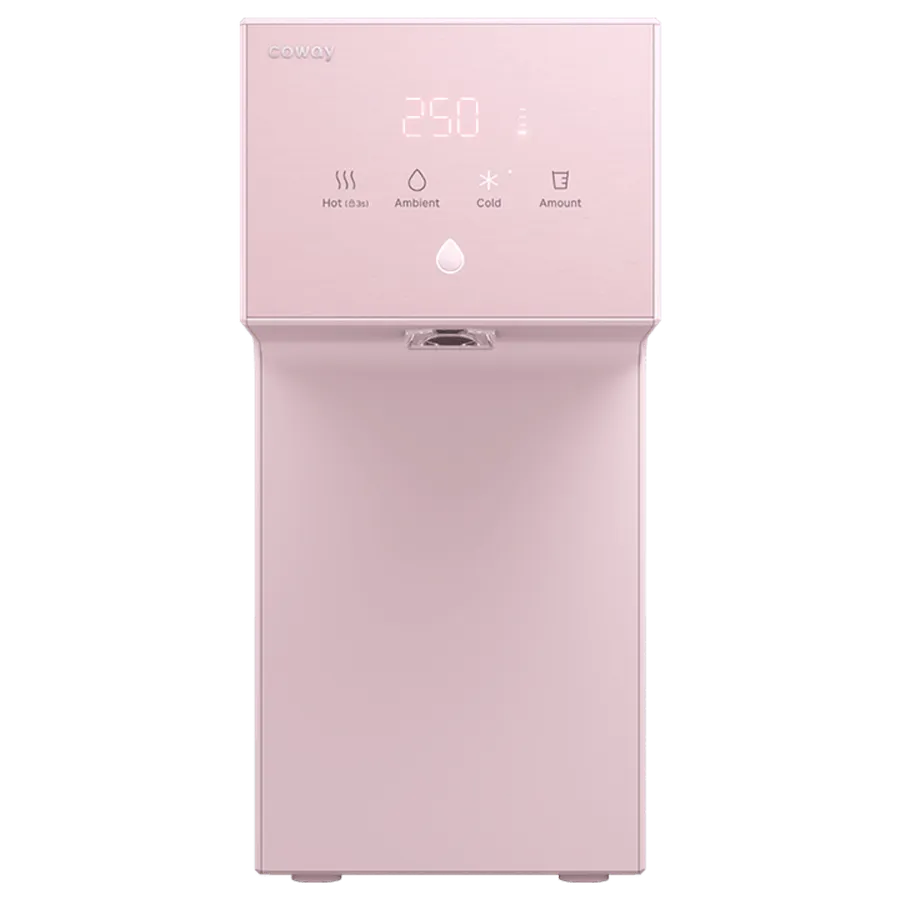 เดซี่ ชมพู ภาพที่ 1